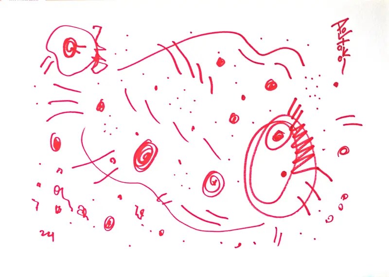 D.A. N° : 060-Miniature